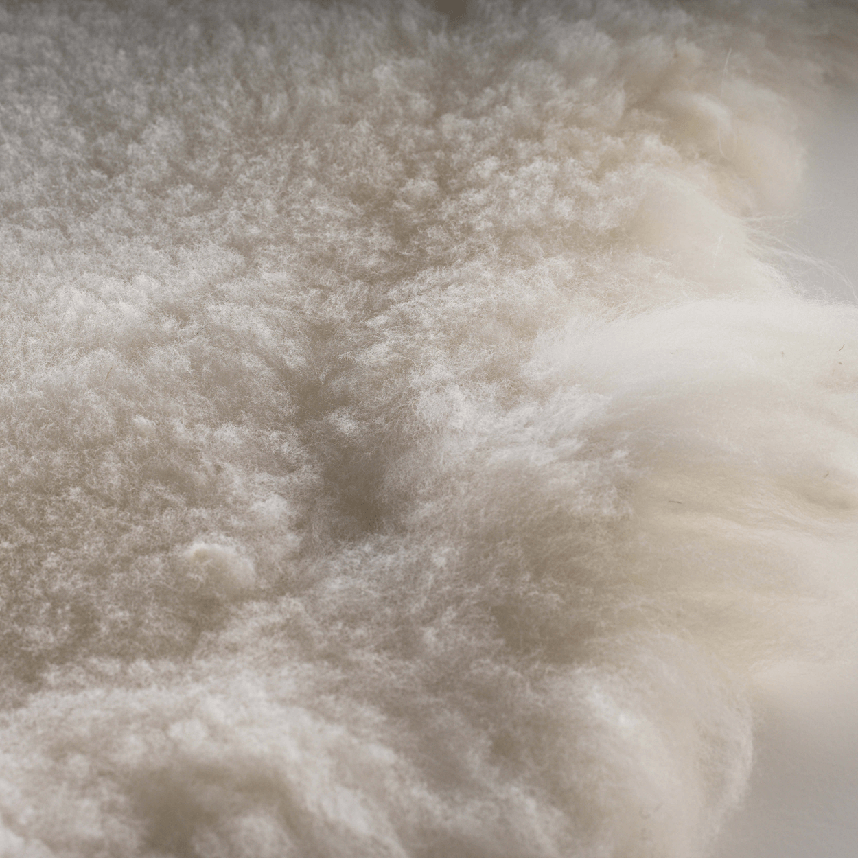 Schaffell für Hunde mit Unregelmäßigkeiten im Fell.