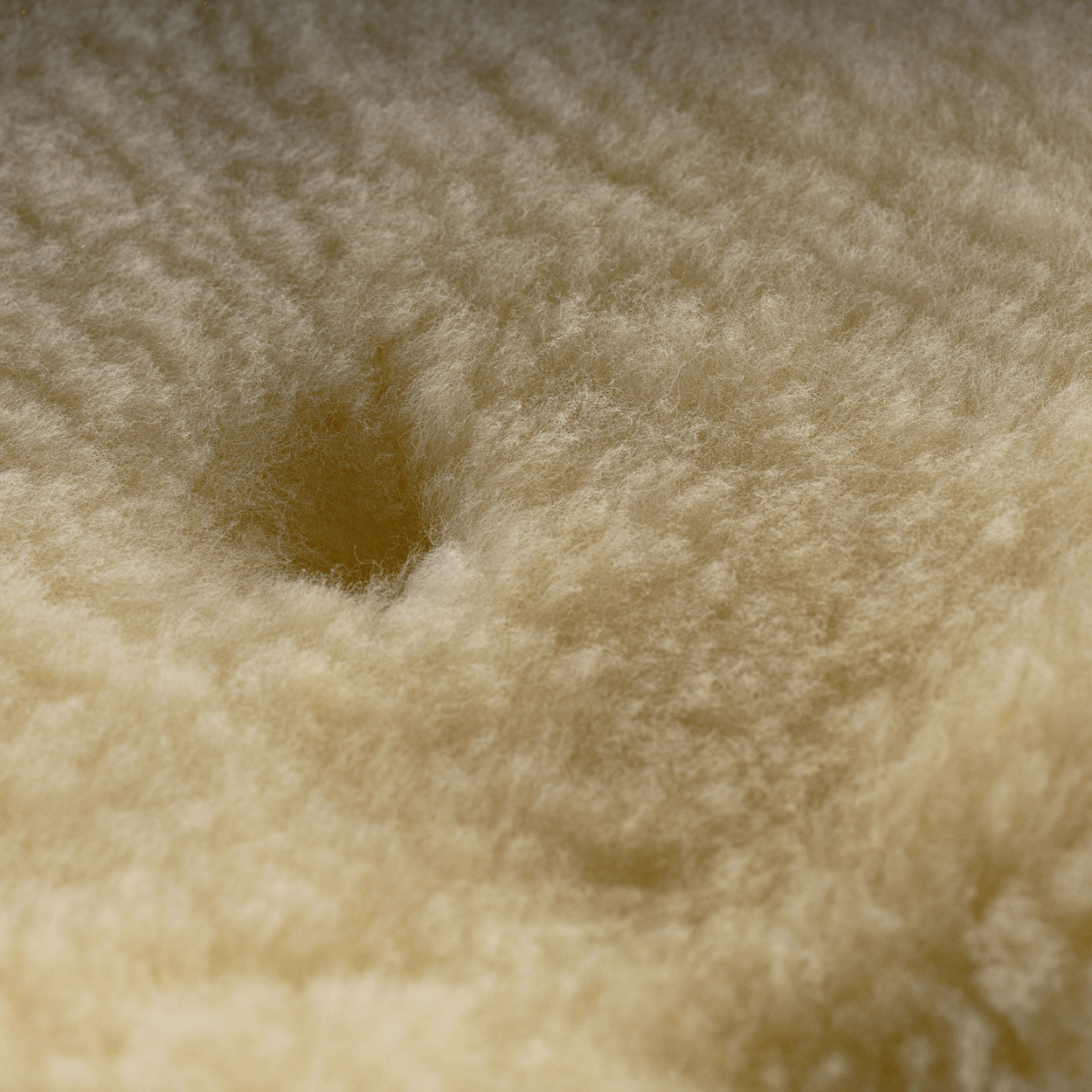 Schaffell für Hunde mit kleinem Loch im Fell.