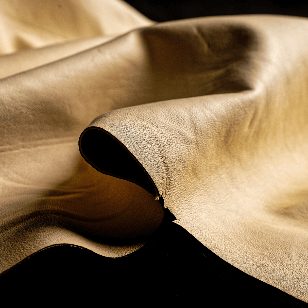 Ansicht Struktur Sämischleder.