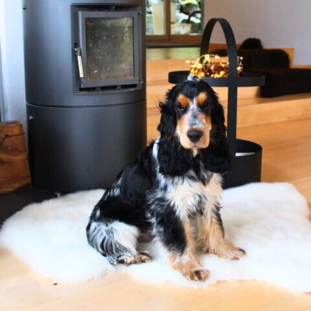 Lammfell für Hunde - weiß