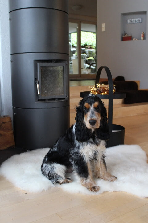 Schaffell für Hunde - pflanzlich gegerbt