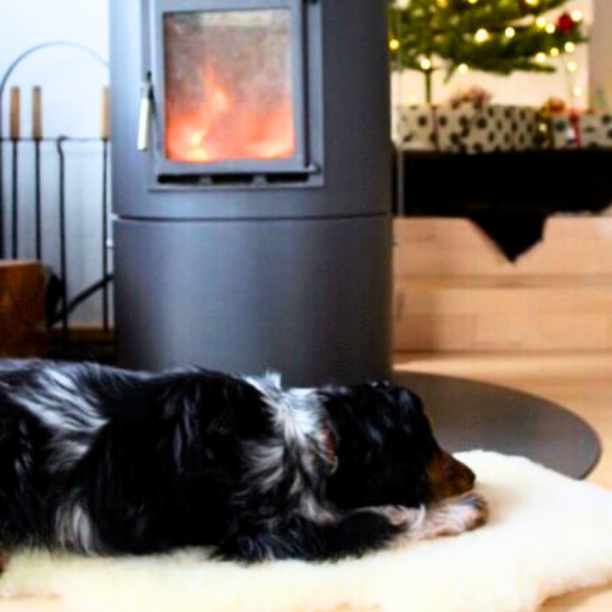 Schaffell für Hunde - waschbar